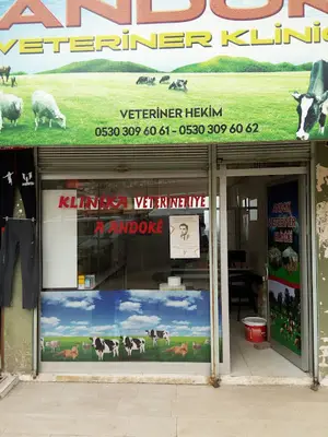 epey evcil hayvan