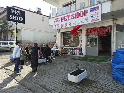 Discus petshop