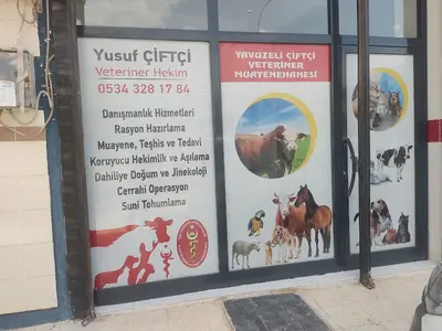 Kaya-Vet Veteriner Muayenesi