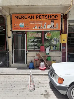 Şaşkın petshop
