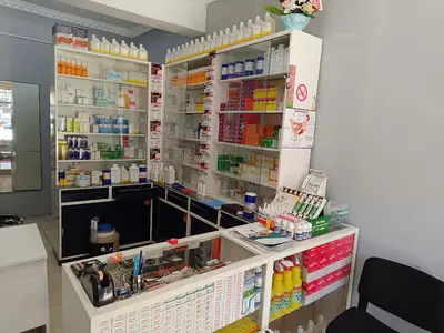 oktan veteriner kliniği