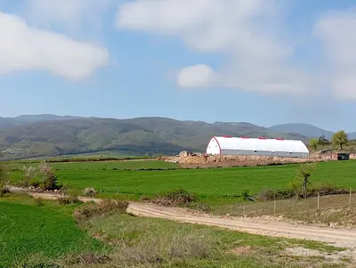 KARAKAYA KÜÇÜKBAŞ HAYVAN ve ARI ÇİFTLİĞİ fotoğrafı