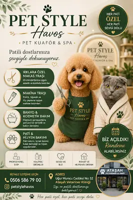 Pet style havos fotoğrafı