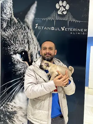 İSTANBUL Veteriner Kliniği - KAYSERİ / Uğurevler veteriner - acil veteriner - açık veteriner - kayseri veteriner