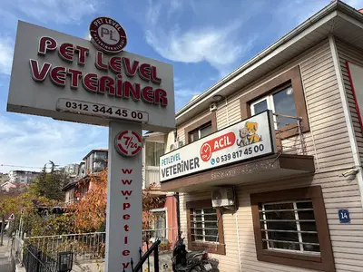 Keçiören Pet Level Veteriner Klinik