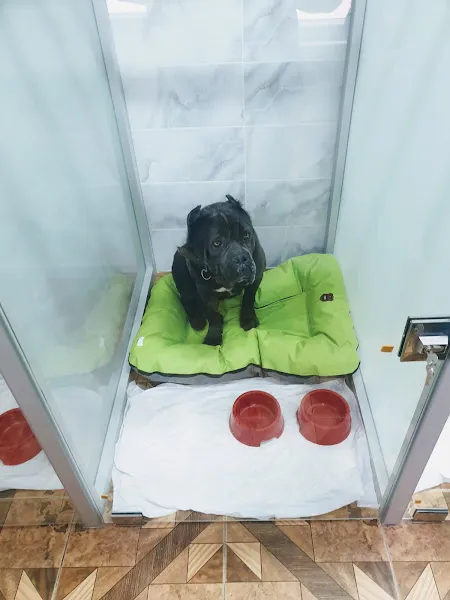 Keçiören Pet Level Veteriner Klinik foto 2