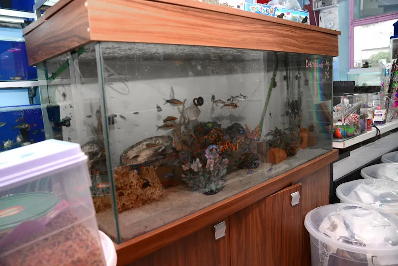 Elif Akvaryum Pet Shop foto 2