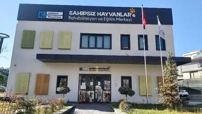 Kadıköy Belediyesi Sahipsiz Hayvanlar Rehabilitasyon Ve Eğitim Merkezi