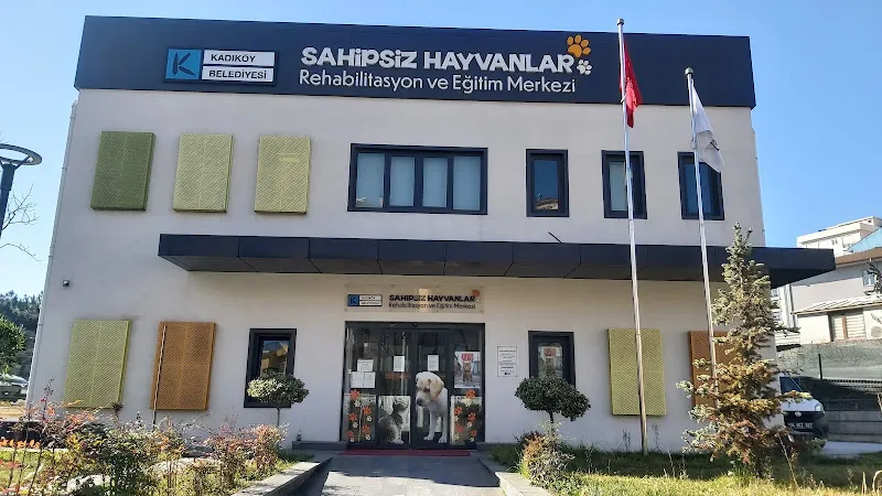 Kadıköy Belediyesi Sahipsiz Hayvanlar Rehabilitasyon Ve Eğitim Merkezi foto 1