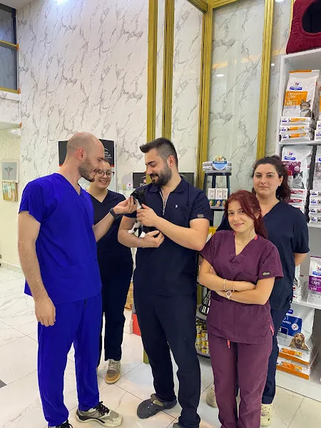 VETMEDİCA ÜSKÜDAR VETERİNER KLİNİĞİ - 7/24 ACİL VETERİNER foto 2