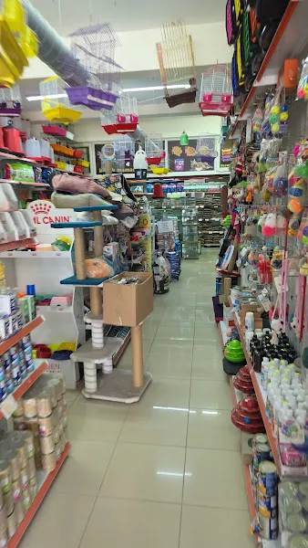 Kartepe Fatibo Akvaryum Petshop foto 2