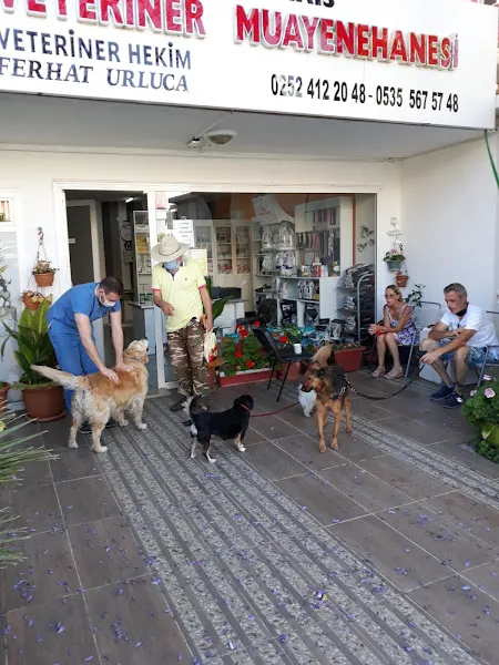 VETMARİS VETERİNER KLİNİĞİ foto 2