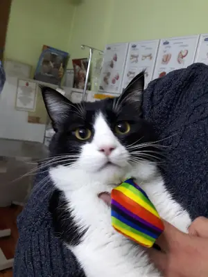 AYDINYAPRAK VETERİNER KLİNİĞİ