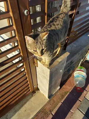 univet veteriner kliniği