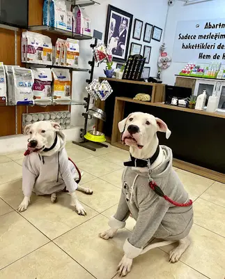 Karşıyaka Yaşam Veteriner Kliniği fotoğrafı