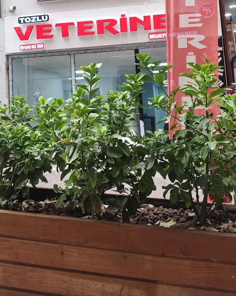 TOZLU Veteriner Kliniği Acil Nöbetçi 7/24 foto 2
