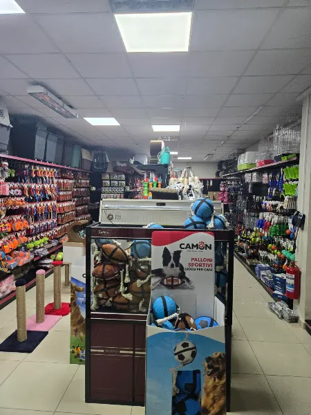 Aslanpet Akvaryum ve Pet malzemeleri foto 2