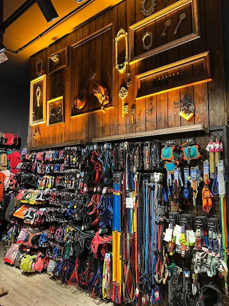 Petburada Üsküdar foto 2
