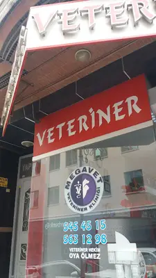 Gaziosmanpaşa Megavet Veteriner Kliniği Uzm.Vet.Hek. Emine Nur Hocaoğlu