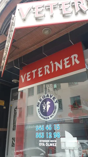 Gaziosmanpaşa Megavet Veteriner Kliniği Uzm.Vet.Hek. Emine Nur Hocaoğlu foto 1