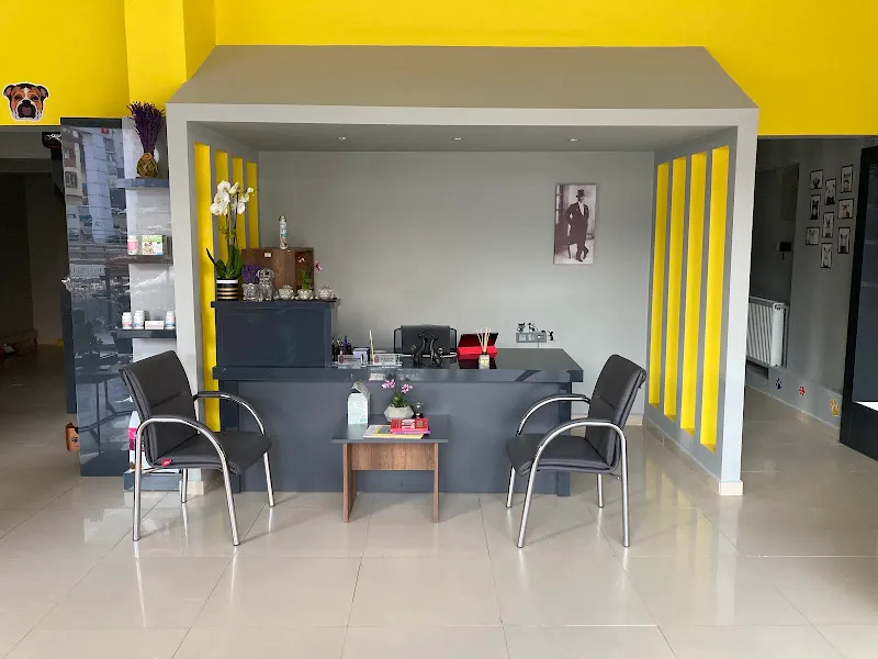 Uşak VITA Veteriner Kliniği foto 2