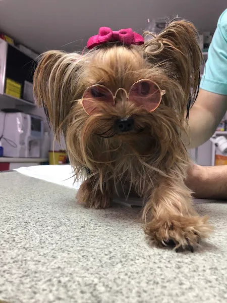 Animal Veteriner Sağlık Mrk foto 2