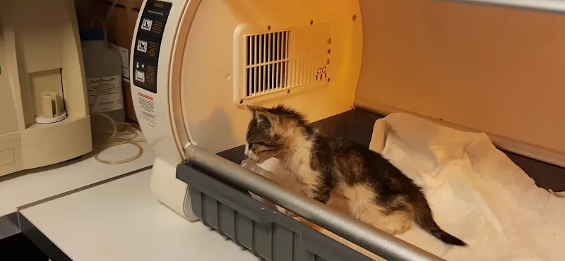 Pepe Veteriner Kliniği foto 2