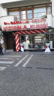 DR.BAHADIR ERŞAN VETERİNER KLİNİĞİ (VETERİNER iÇ HASTALIKLARI UZMANI)