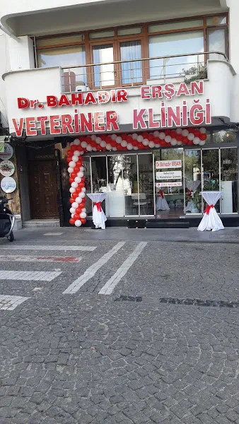 DR.BAHADIR ERŞAN VETERİNER KLİNİĞİ (VETERİNER iÇ HASTALIKLARI UZMANI) foto 1