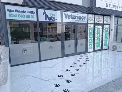 Bandırma ForPet's Veteriner muayenehanesi