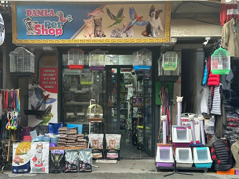Sakarya Damla Petshop foto 1