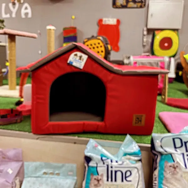 PATİLYA PETSHOP foto 2