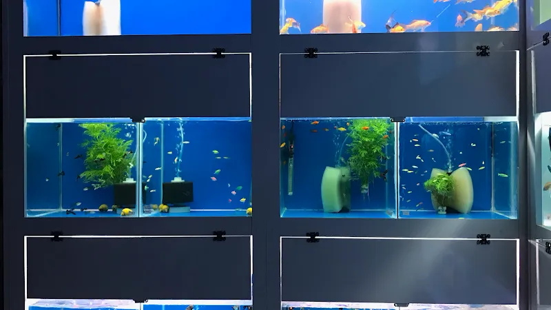ERAPATİ PETSHOP foto 1