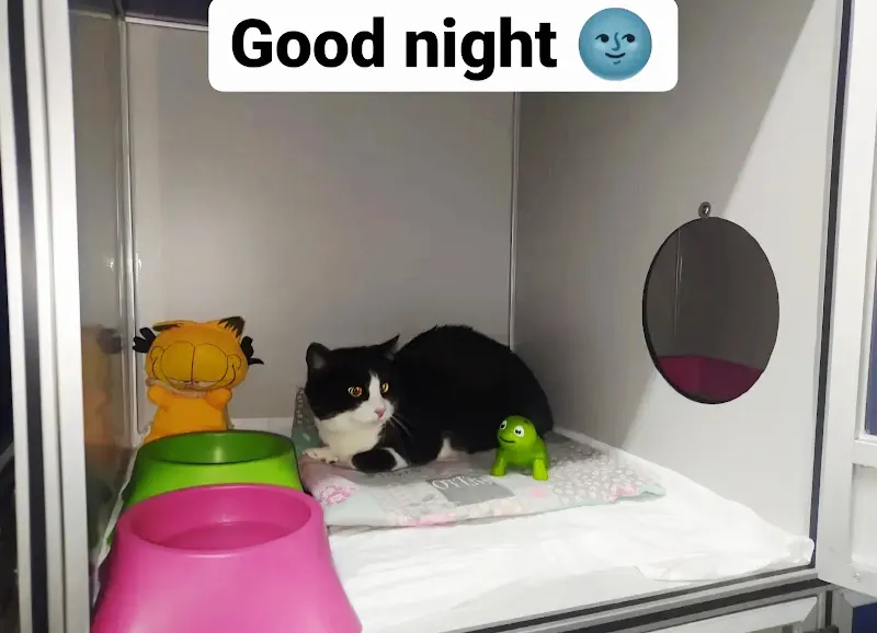 Laika Veteriner Kliniği foto 2