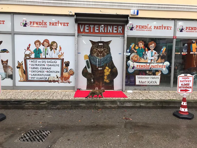 PENDİK PATİVET VETERİNER KLİNİĞİ foto 1