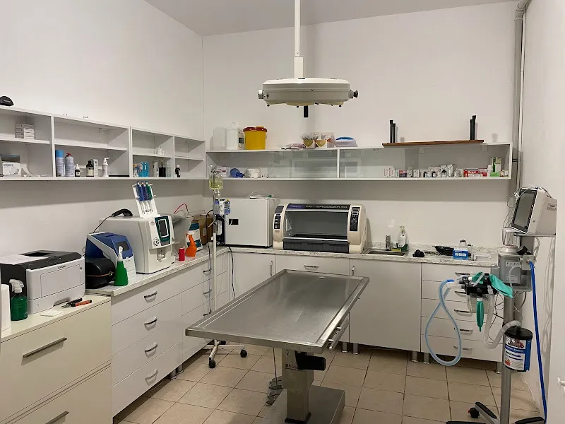 Lamina Veteriner Kliniği foto 1