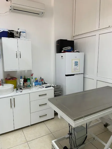 Lamina Veteriner Kliniği foto 2