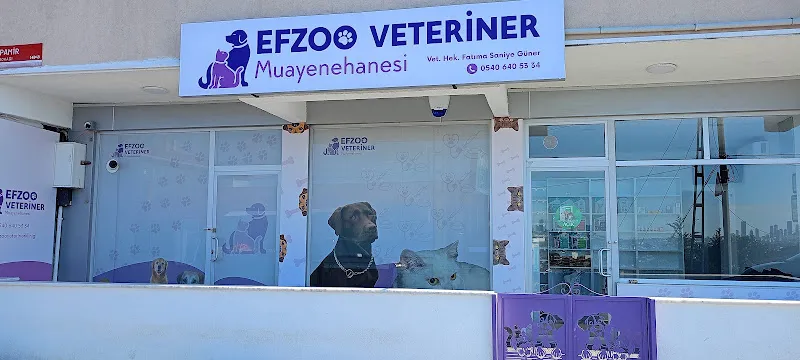 Efzoo Veteriner Kliniği foto 2