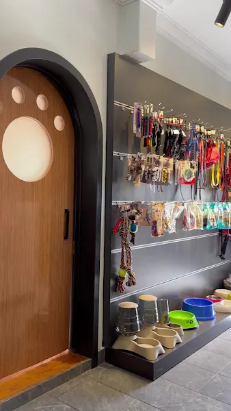 Pet House Düşler Vadisi Riva Veteriner Kliniği foto 2
