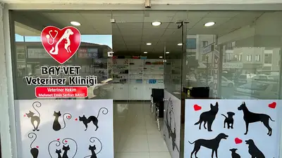 BAY-VET VETERİNER KLİNİĞİ