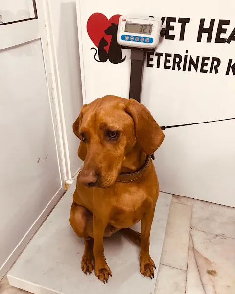 Vet Health Veteriner Kliniği foto 1