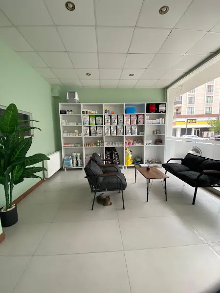 Piraye Veteriner Kliniği foto 1