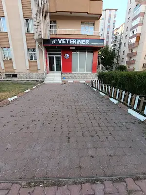 Sümer Açık Veteriner Kliniği