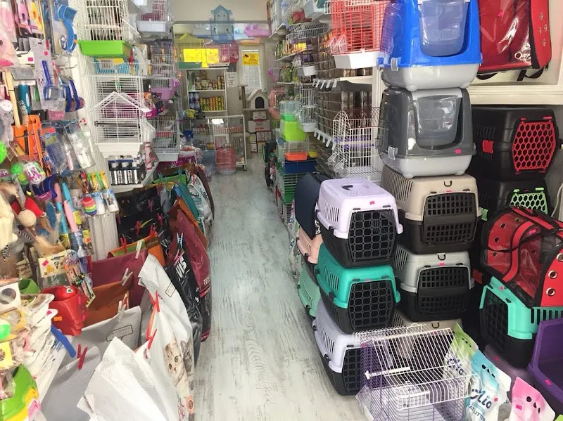 Defne Petshop foto 2