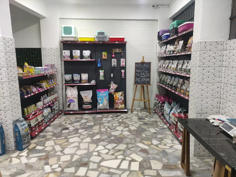 Glowpetshop foto 2