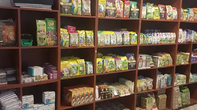 Petshop şanslı