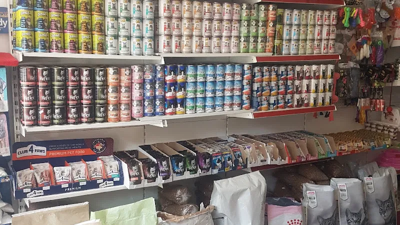Petshop şanslı foto 2