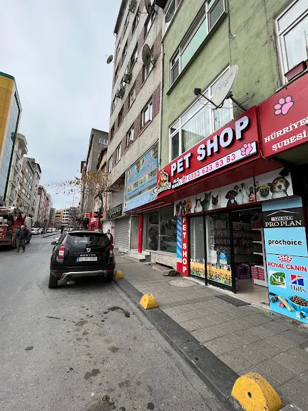 Çağlayan Petshop (HÜRRİYET) foto 1