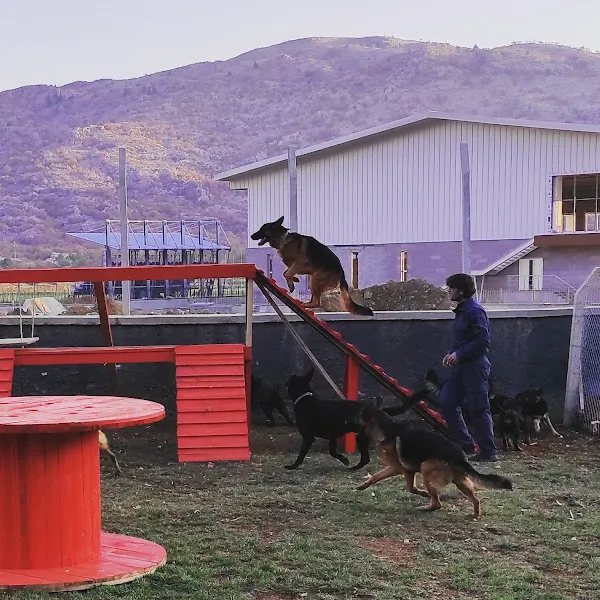 Vonbir K9 Arama Kurtarma foto 2