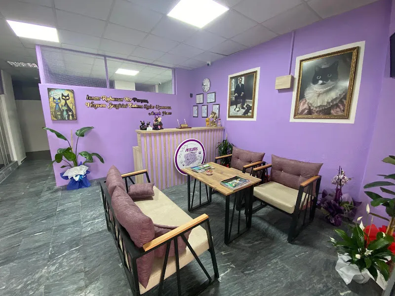 Yatağan Petlifes Veteriner Kliniği foto 1